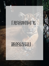 形容时间飞逝的诗词