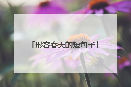 形容春天的短句子