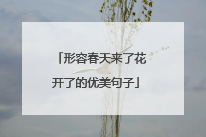 形容春天来了花开了的优美句子
