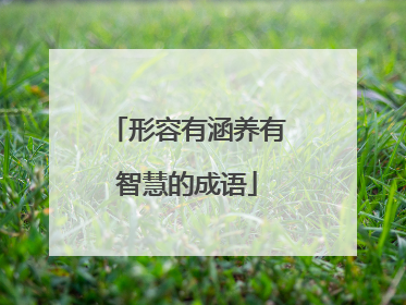 形容有涵养有智慧的成语