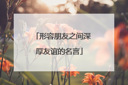 形容朋友之间深厚友谊的名言