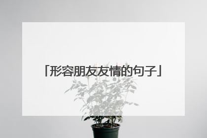 形容朋友友情的句子