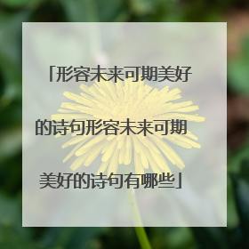 形容未来可期美好的诗句形容未来可期美好的诗句有哪些