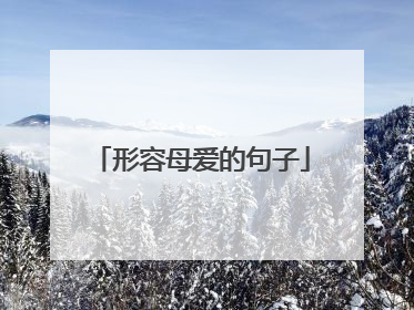 形容母爱的句子