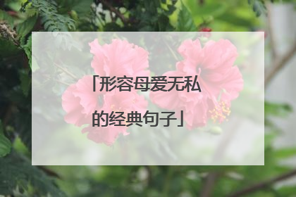 形容母爱无私的经典句子