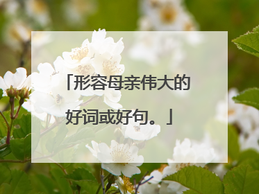 形容母亲伟大的好词或好句。