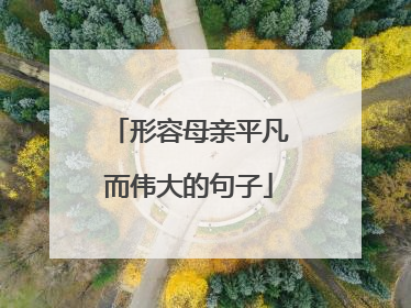 形容母亲平凡而伟大的句子