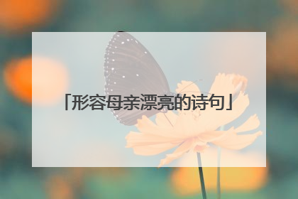 形容母亲漂亮的诗句