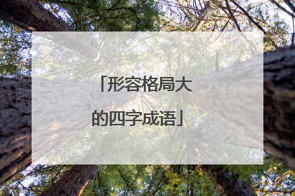 形容格局大的四字成语
