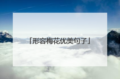 形容梅花优美句子