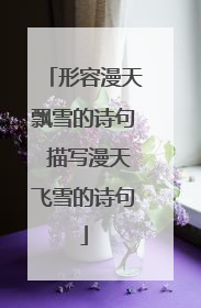 形容漫天飘雪的诗句 描写漫天飞雪的诗句