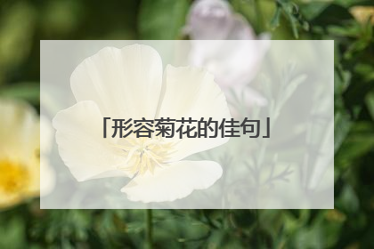 形容菊花的佳句