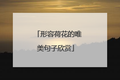 形容荷花的唯美句子欣赏