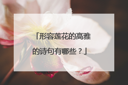 形容莲花的高雅的诗句有哪些？