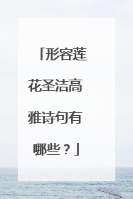 形容莲花圣洁高雅诗句有哪些?