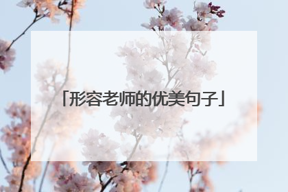 形容老师的优美句子