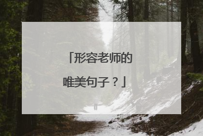形容老师的唯美句子？