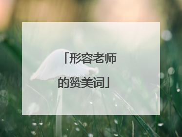 形容老师的赞美词
