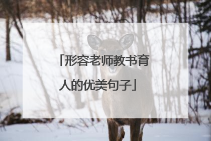 形容老师教书育人的优美句子