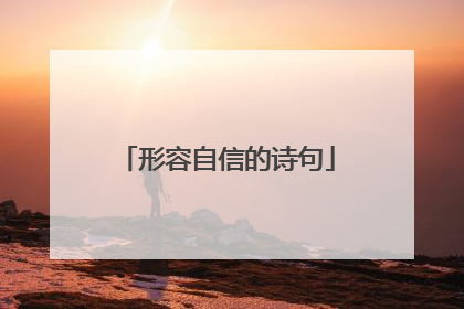 形容自信的诗句