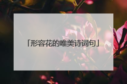 形容花的唯美诗词句