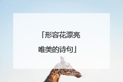 形容花漂亮唯美的诗句