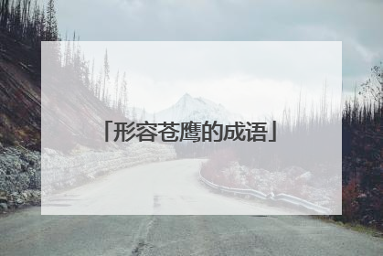 形容苍鹰的成语