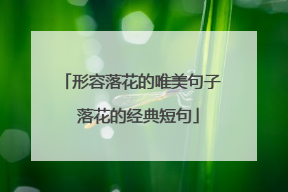 形容落花的唯美句子 落花的经典短句