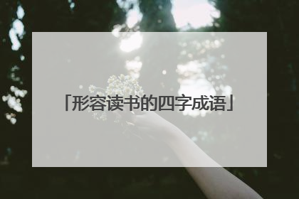 形容读书的四字成语