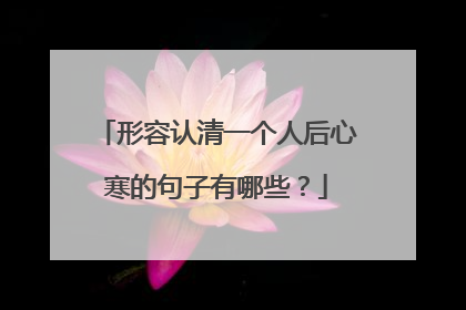 形容认清一个人后心寒的句子有哪些?