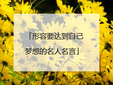 形容要达到自己梦想的名人名言