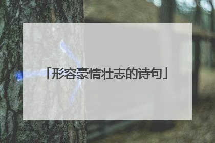 形容豪情壮志的诗句