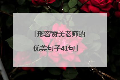 形容赞美老师的优美句子41句
