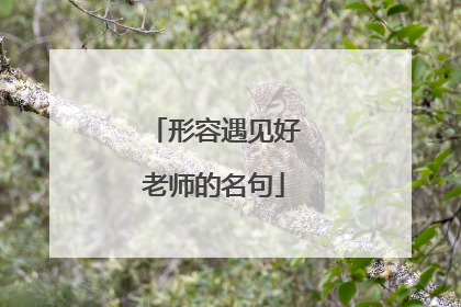 形容遇见好老师的名句