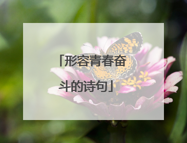 形容青春奋斗的诗句