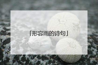 形容雨的诗句