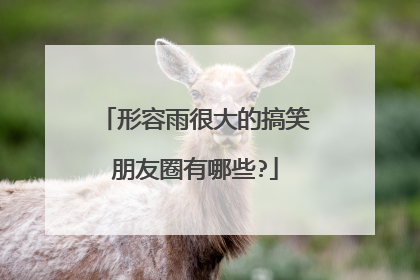 形容雨很大的搞笑朋友圈有哪些?