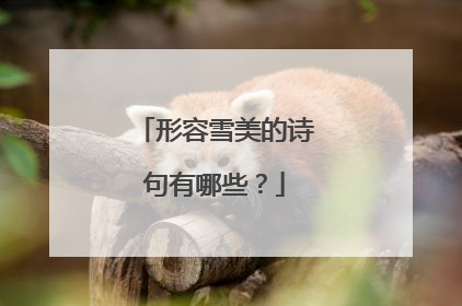 形容雪美的诗句有哪些?
