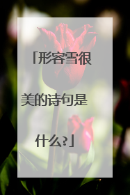 形容雪很美的诗句是什么?