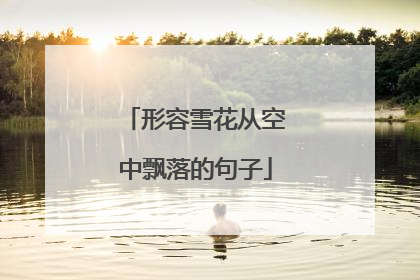 形容雪花从空中飘落的句子