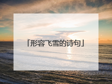 形容飞雪的诗句