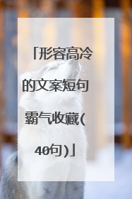 形容高冷的文案短句霸气收藏(40句)