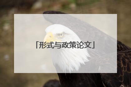 形式与政策论文