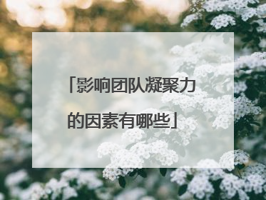 影响团队凝聚力的因素有哪些