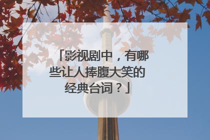 影视剧中，有哪些让人捧腹大笑的经典台词？