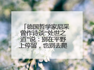 德国哲学家尼采曾作诗谈“处世之道”说：别在平野上停留，也别去爬得太高。打从半高处观看，世界显得更美