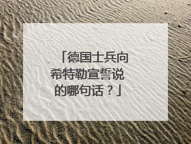 德国士兵向希特勒宣誓说的哪句话？