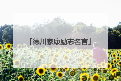 德川家康励志名言