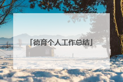 德育个人工作总结