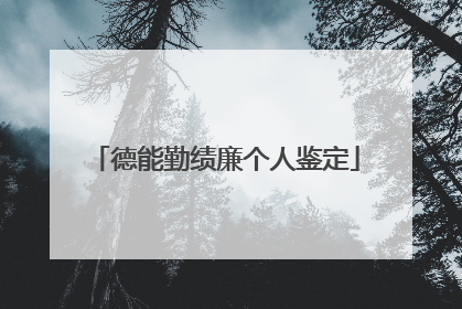 德能勤绩廉个人鉴定